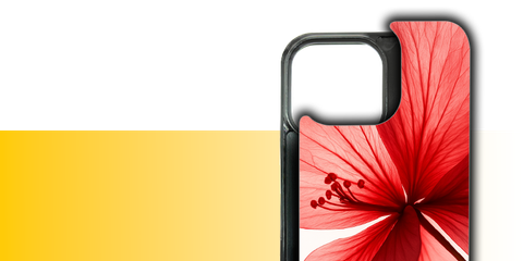 image-alt-6932b4efe1acd